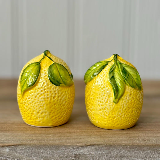 Ceramic Lemon Salt and Pepper Shaker Pots with Box | Cute Ceramic Fruit Condiment Set | Unique Kitchen Decor