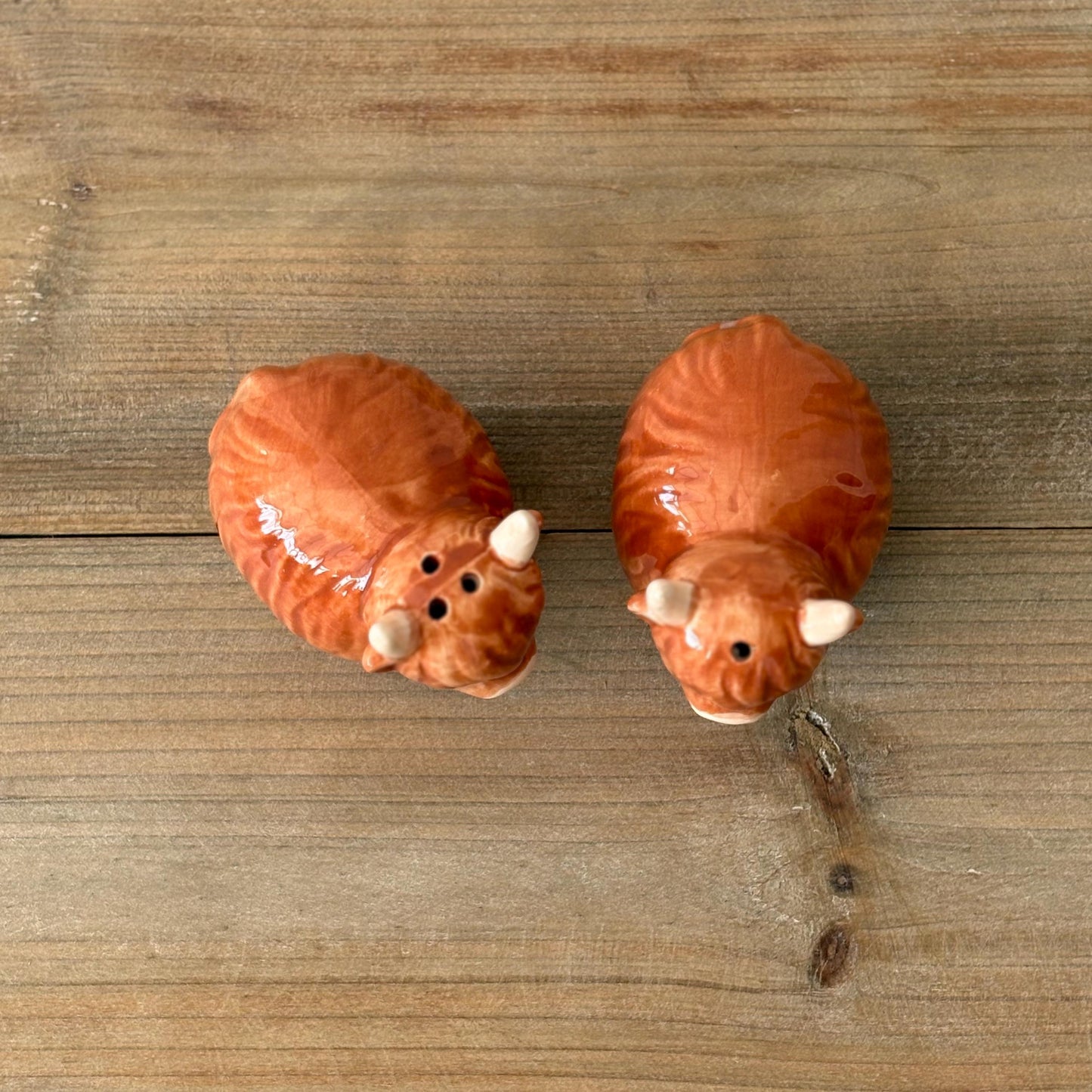 Highland Cow Salt and Pepper Shaker Pots with Box | Cute Ceramic Cow Condiment Set | Farmhouse Animal Kitchen Decor