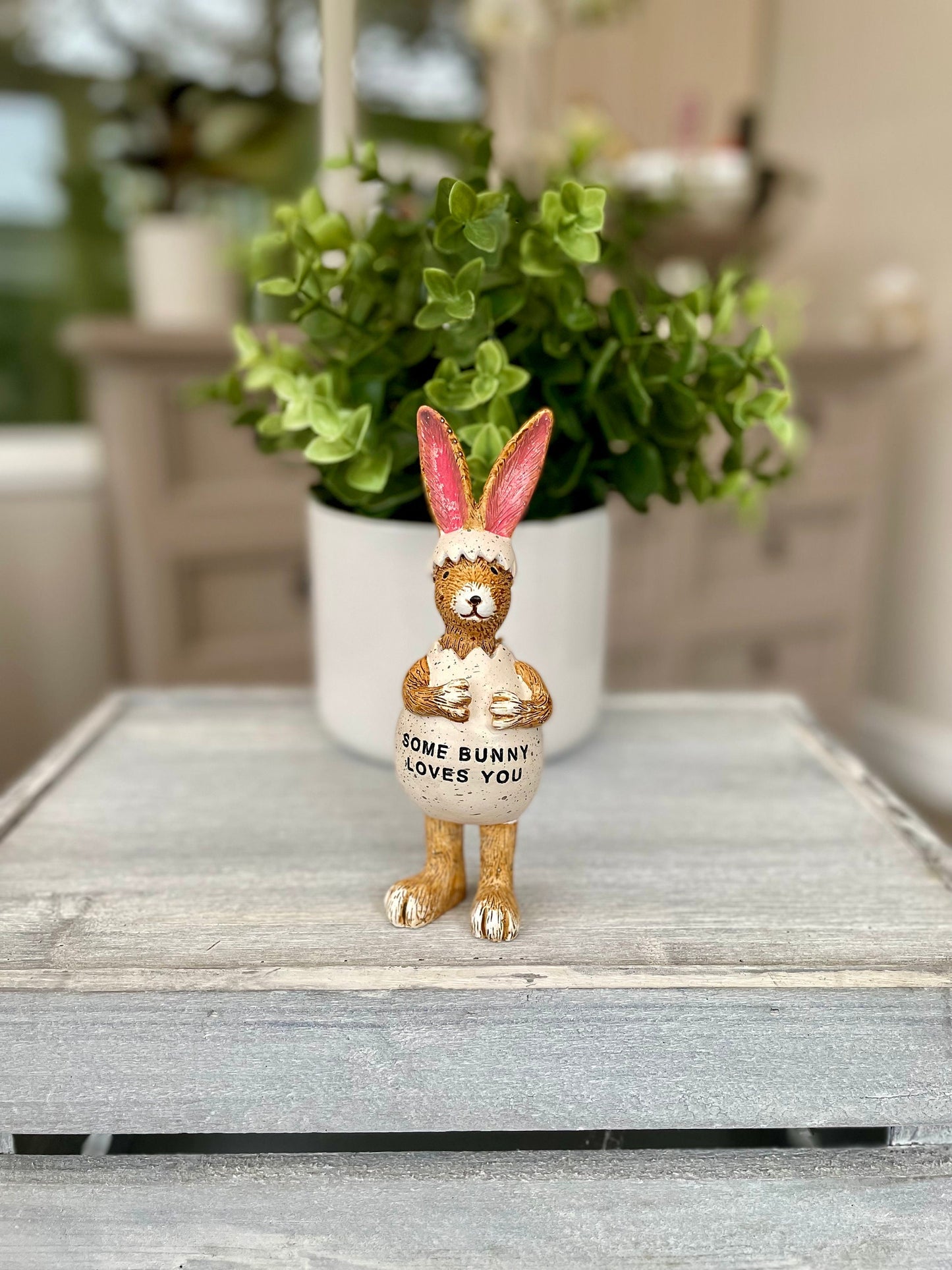 Some Bunny Loves You Easter Egg Rabbit Ornament